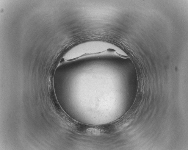 X0000088910699200706291530