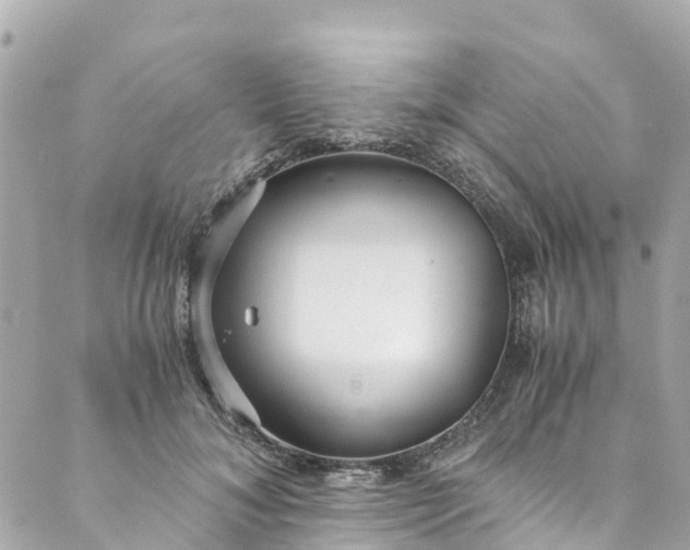 X0000088910700200706291530