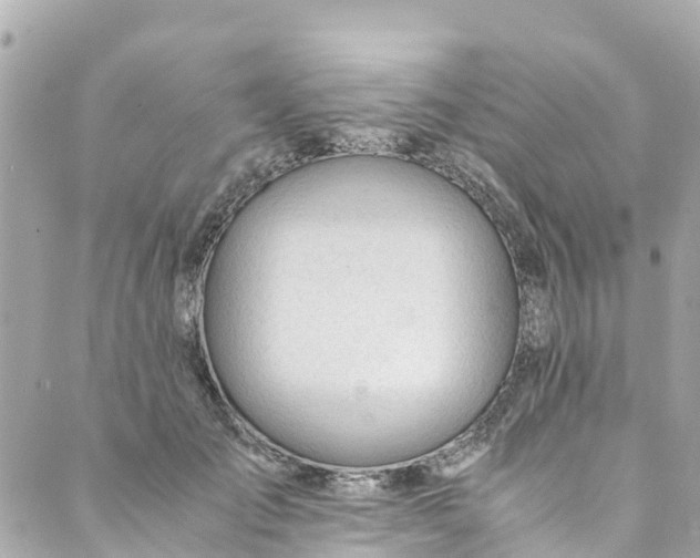 X0000088910701200706291530