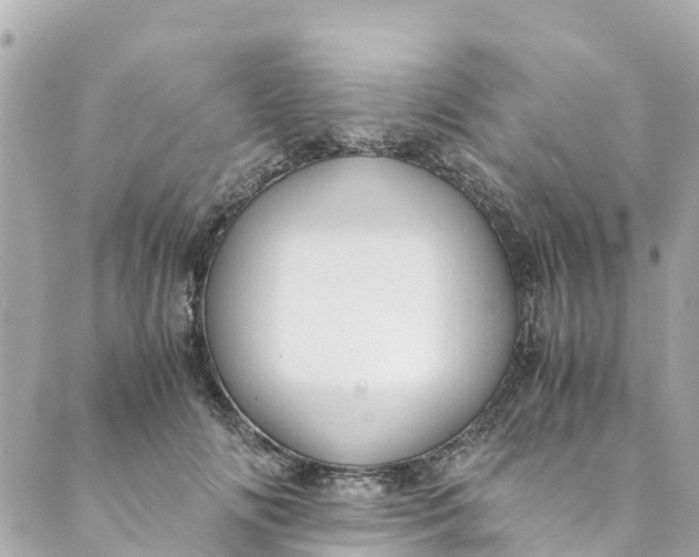 X0000088910702200706291530