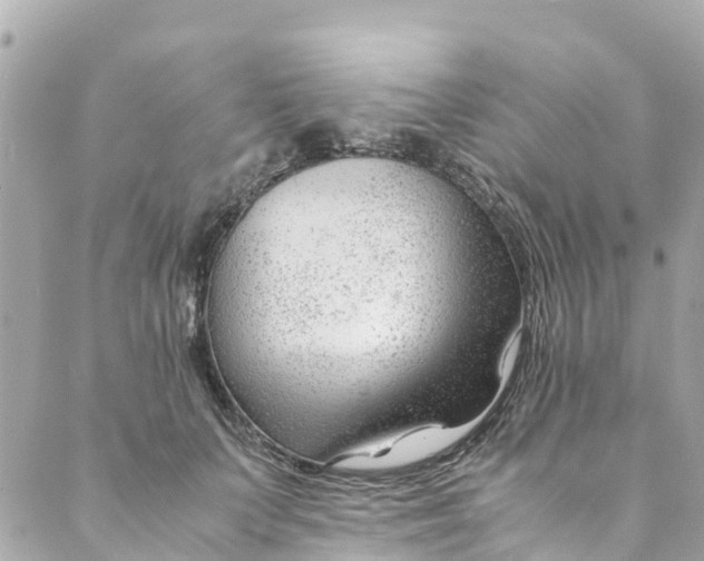 X0000088910703200706291530