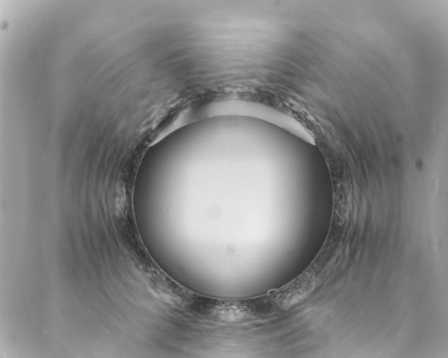 X0000088910704200706291530