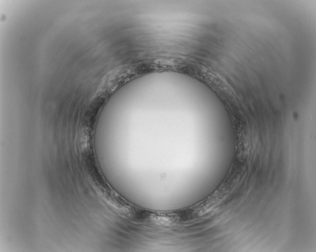 X0000088910706200706291529