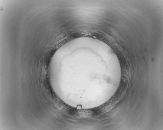 X0000088910707200706291529