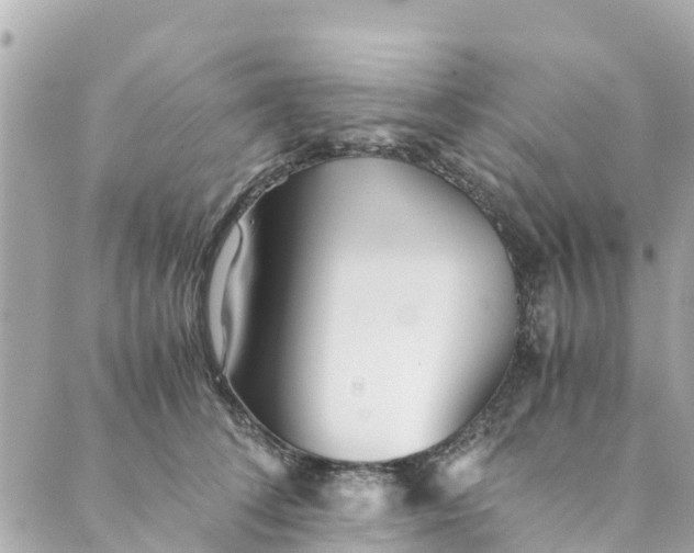 X0000088910708200706291529