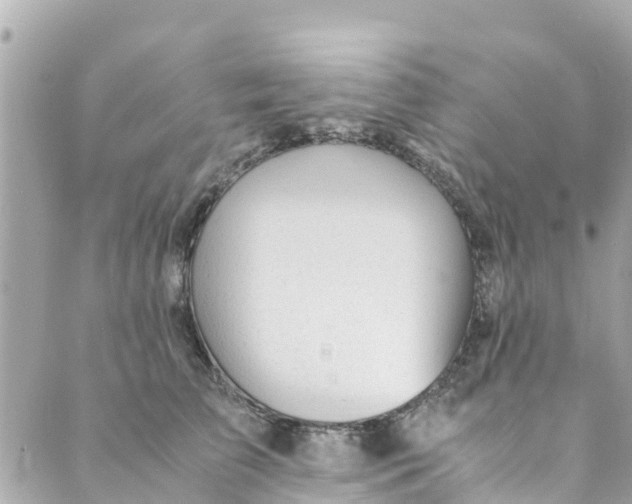 X0000088910709200706291529