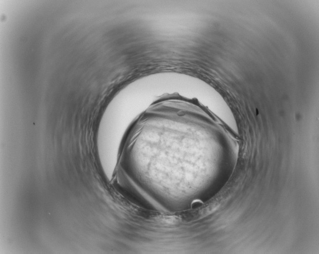 X0000088910711200706291529