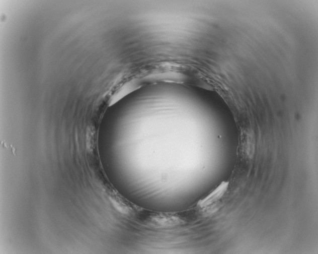 X0000088910712200706291529