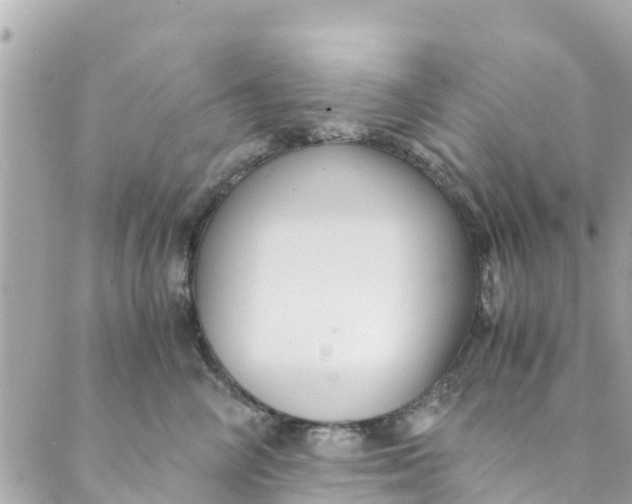 X0000088910714200706291529