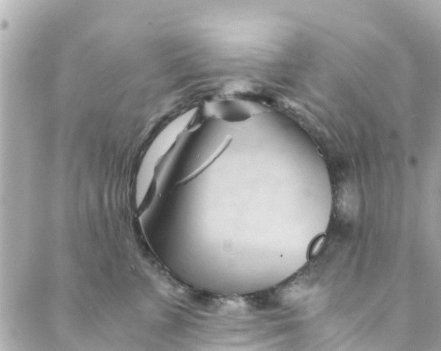 X0000088910715200706291529