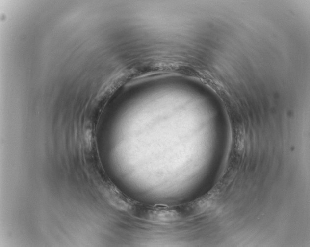 X0000088910716200706291529