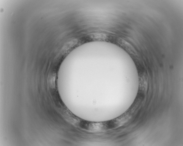 X0000088910717200706291529