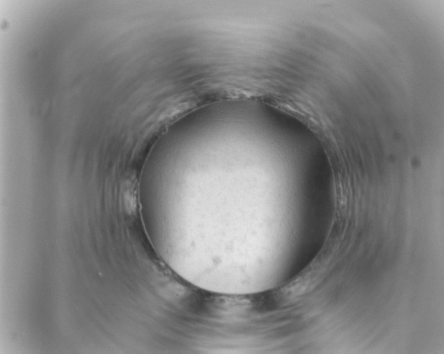 X0000088910719200706291529