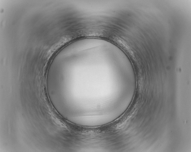 X0000088910721200706291528