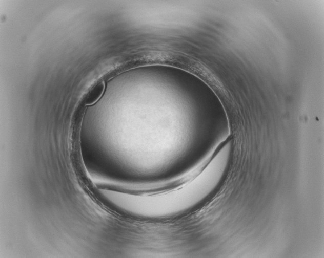 X0000088910722200706291529