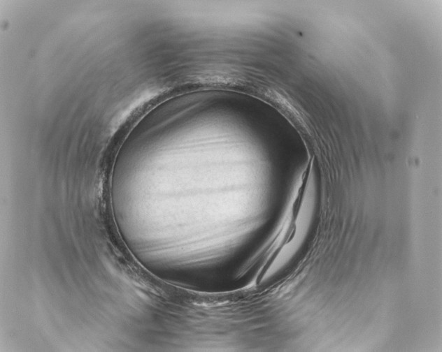 X0000088910723200706291529