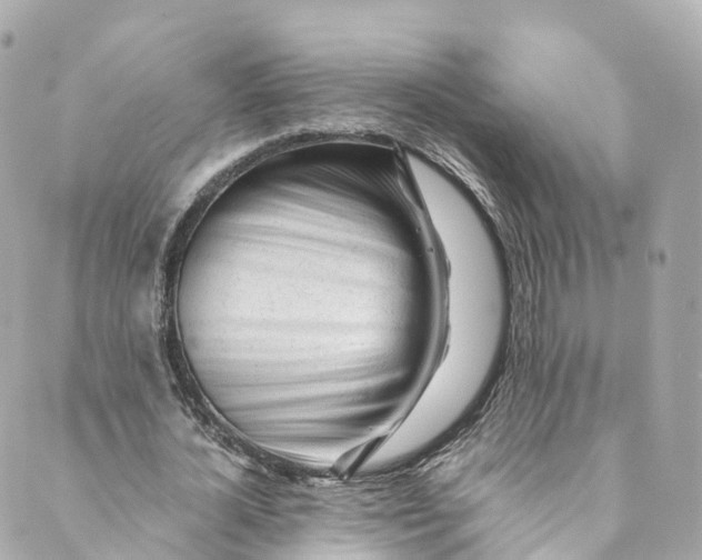 X0000088910724200706291529