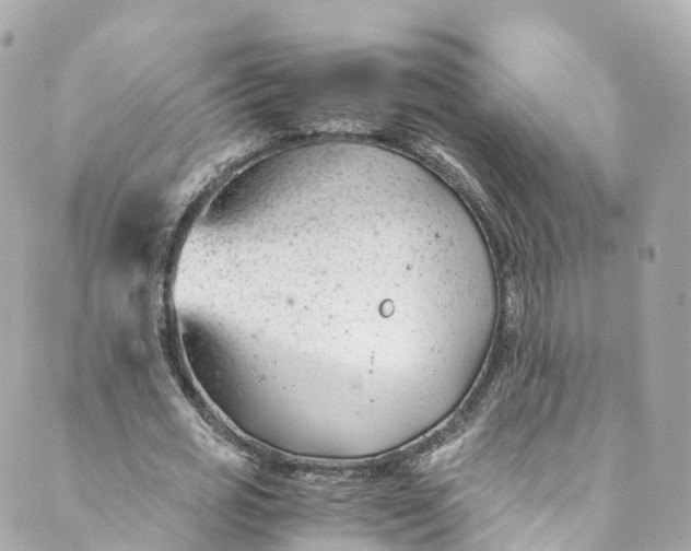 X0000088910725200706291529