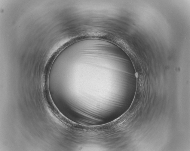 X0000088910726200706291529