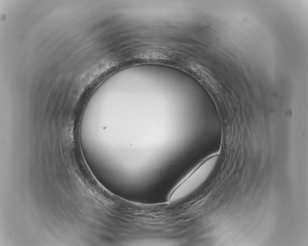 X0000088910727200706291529