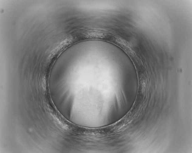 X0000088910729200706291529