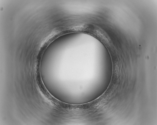 X0000088910730200706291529