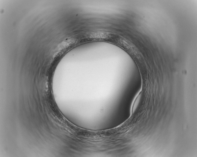 X0000088910731200706291529