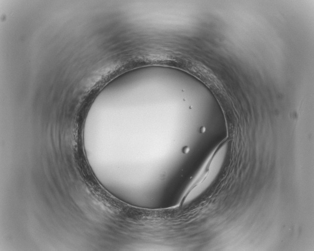 X0000088910732200706291529