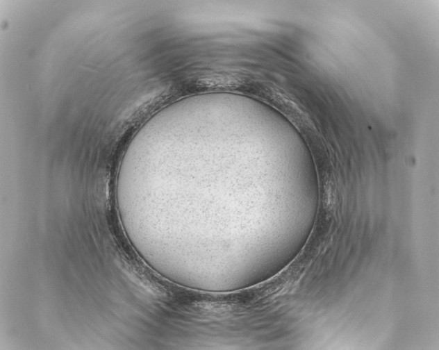 X0000088910733200706291529