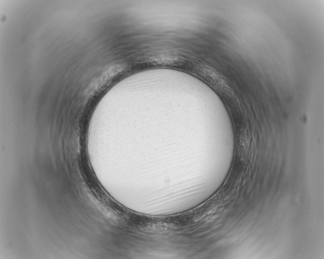 X0000088910734200706291529