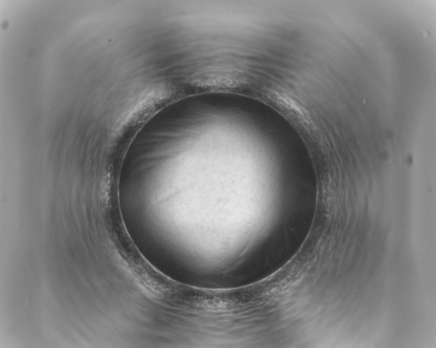 X0000088910735200706291529