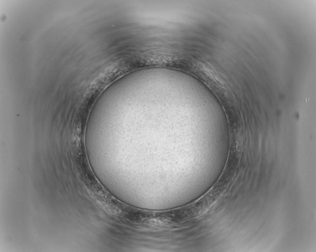 X0000088910737200706291529