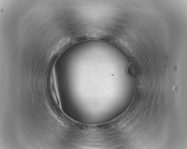 X0000088910738200706291529