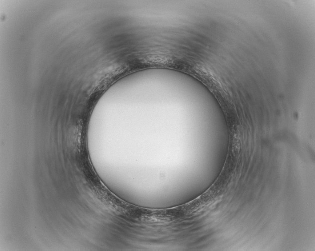 X0000088910739200706291529