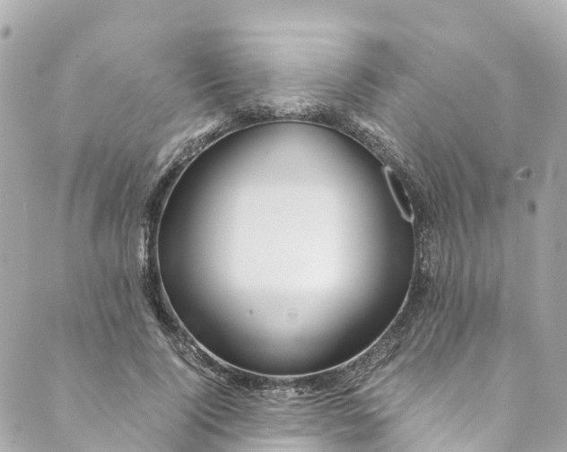 X0000088910740200706291529