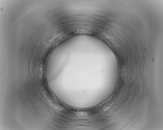 X0000088910741200706291529