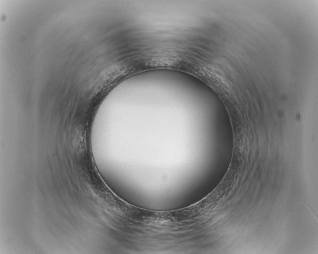 X0000088910743200706291529