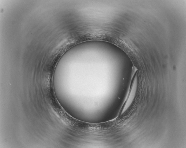 X0000088910744200706291529