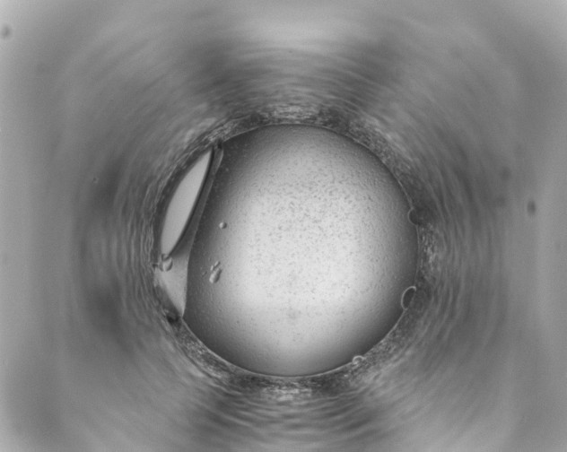 X0000088910745200706291529