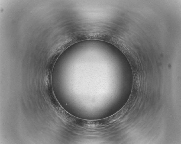 X0000088910746200706291529