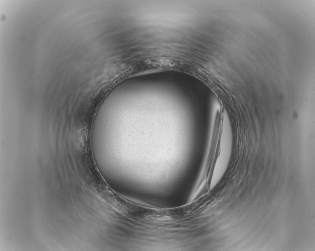 X0000088910747200706291529