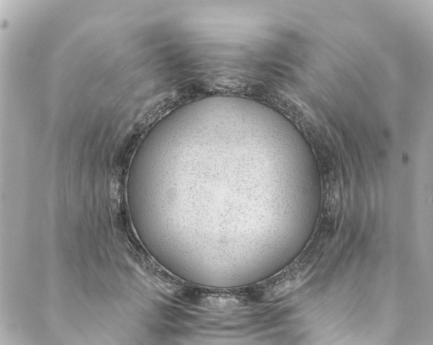 X0000088910749200706291529