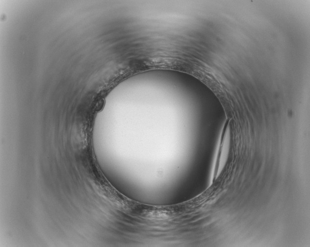 X0000088910751200706291529