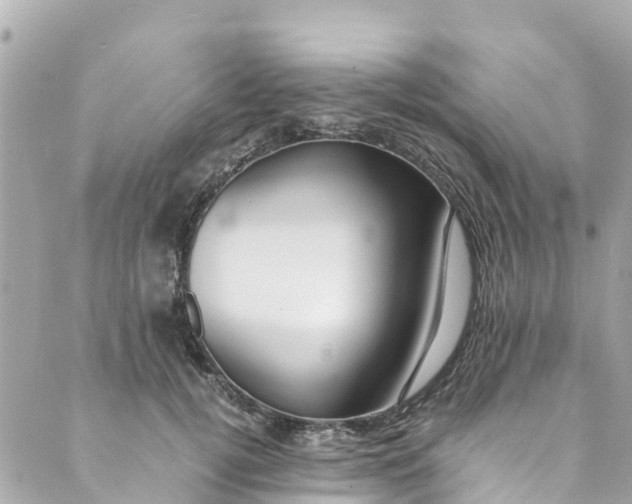 X0000088910752200706291529