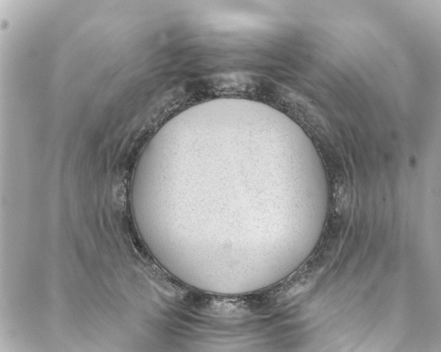 X0000088910753200706291529