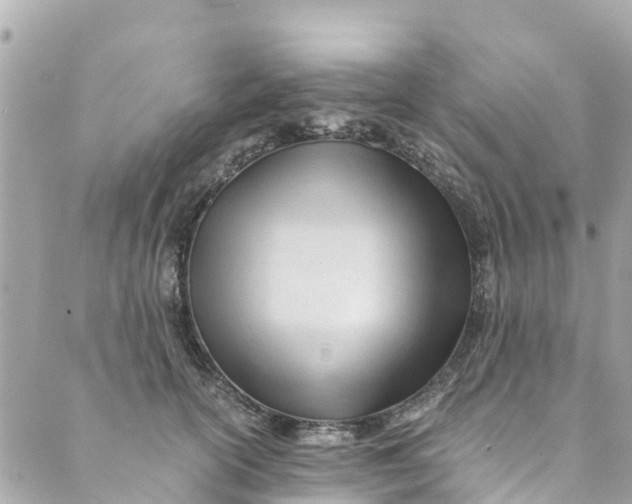 X0000088910754200706291529