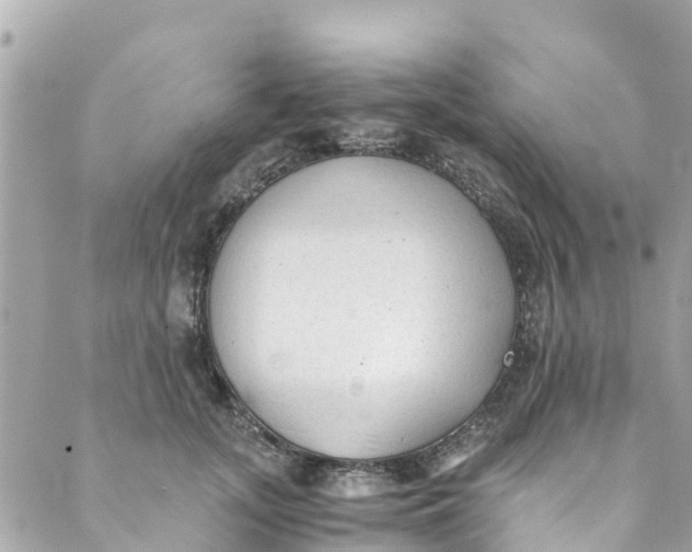 X0000088910755200706291529