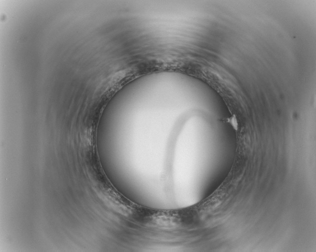 X0000088910756200706291529