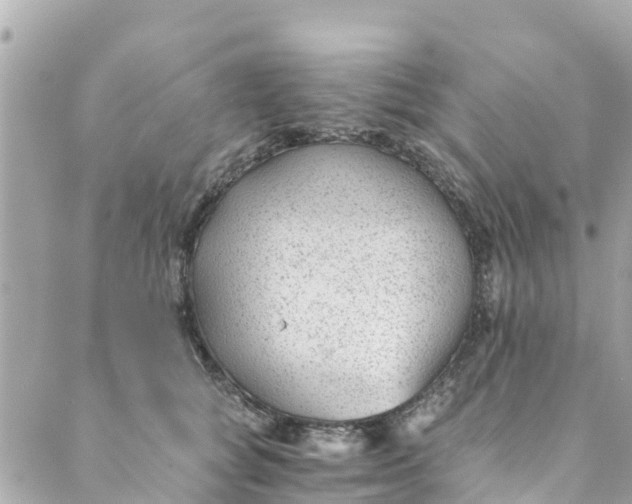 X0000088910757200706291529