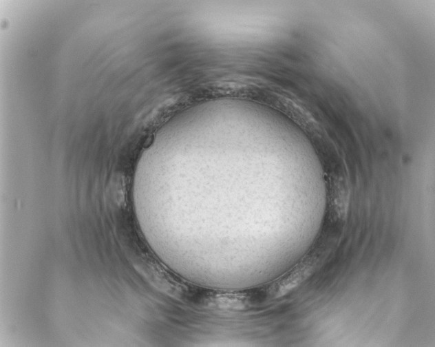 X0000088910758200706291529